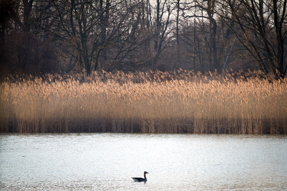 b_IMG_0534_